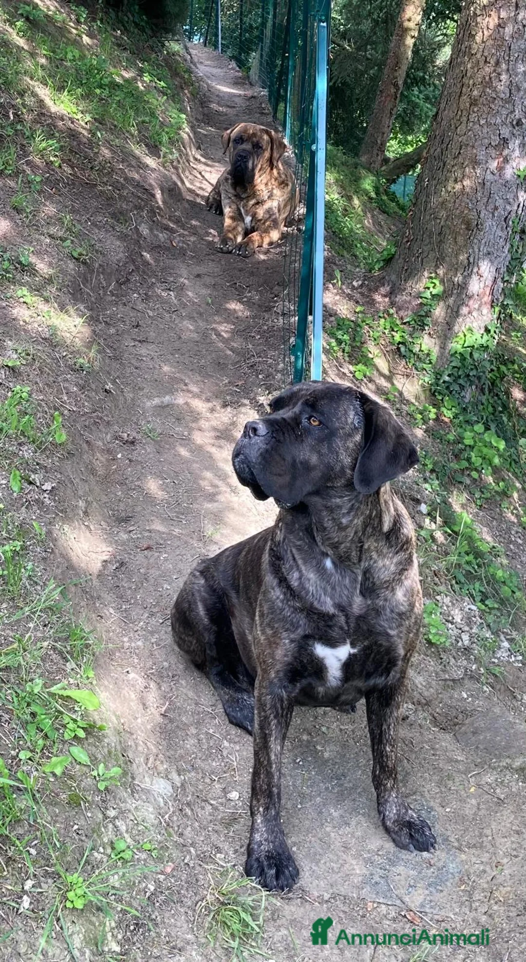 Immagine della galleria {{count}}