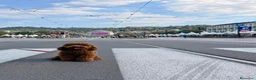 Barboncino Toy cani per accoppiamento: Cercasi fidanzatina!! a Città Metropolitana di Torino - Annuncio 1