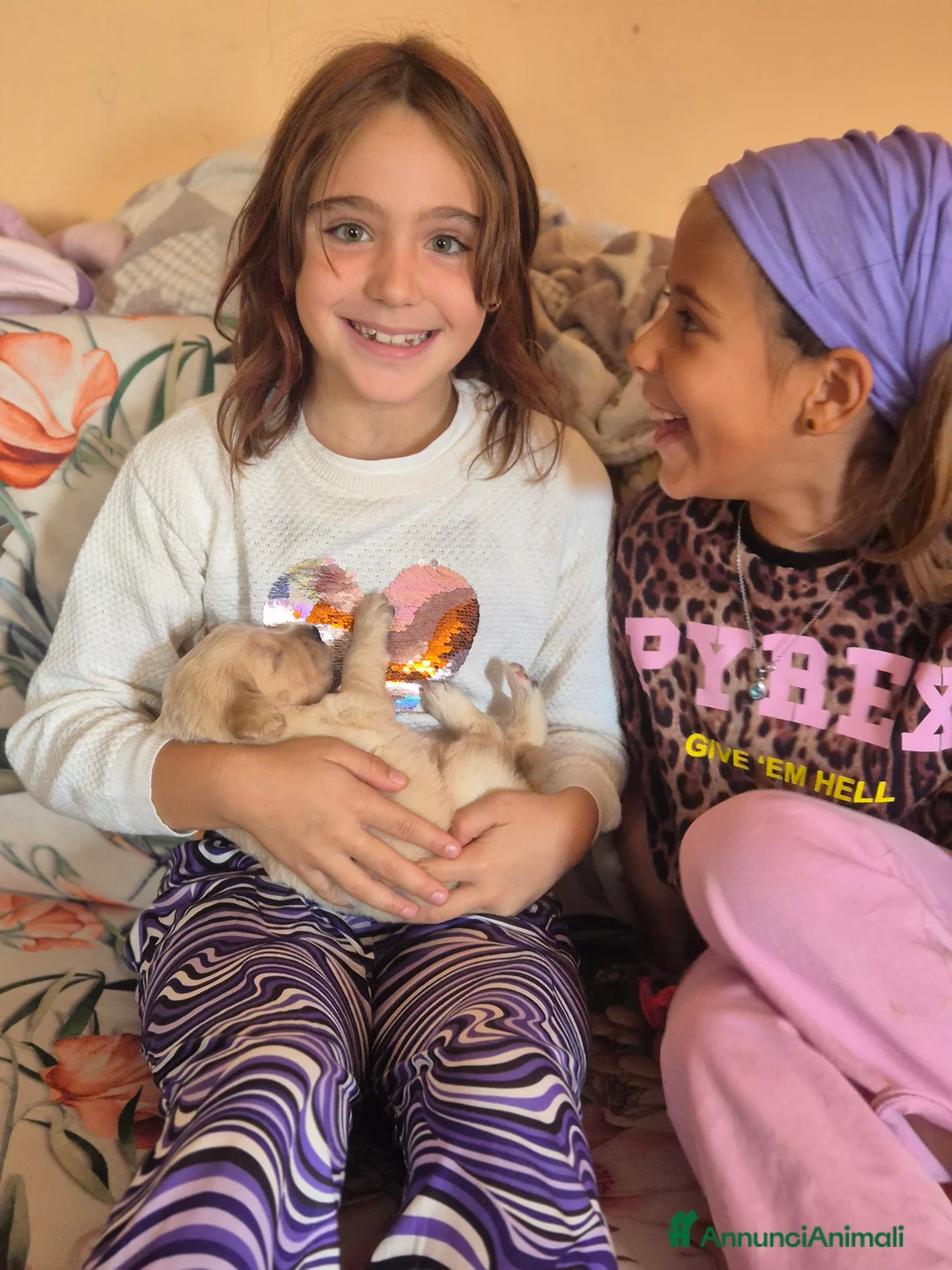 Immagine della galleria {{count}}