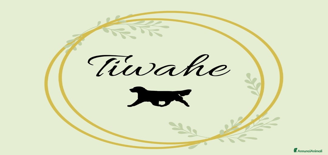 Immagine della galleria {{count}}