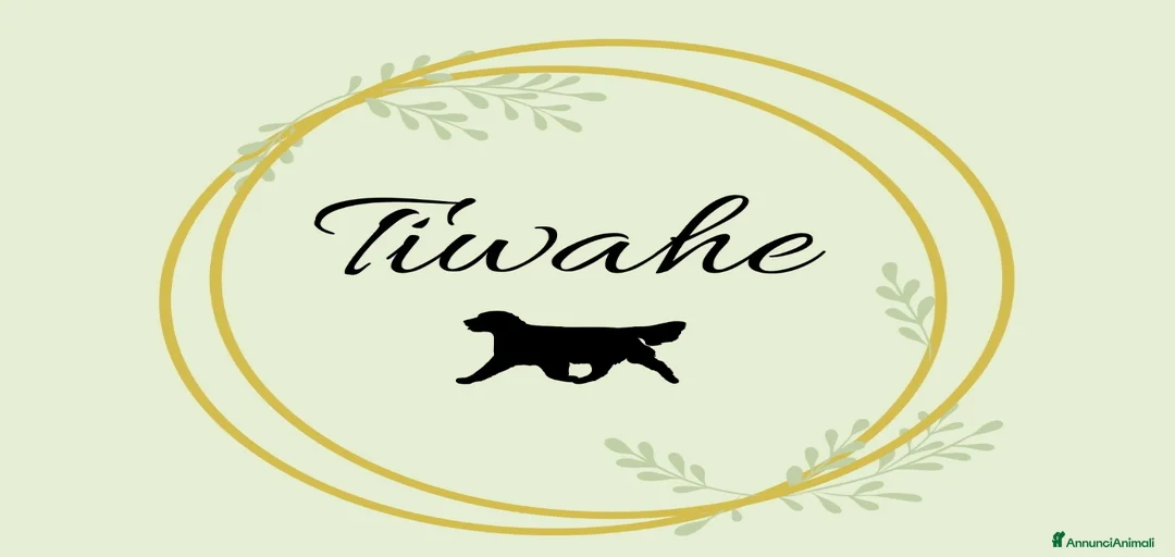 Immagine della galleria {{count}}