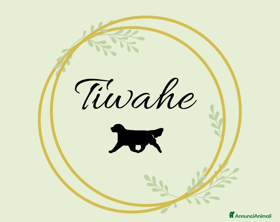 Immagine della galleria {{count}}