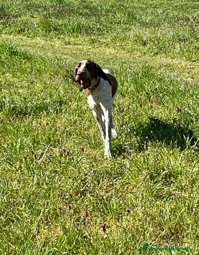 Immagine della galleria {{count}}