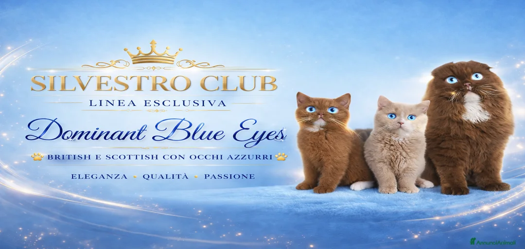 Immagine della galleria {{count}}