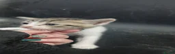 Europeo gatti in regalo: Regalo a Città Metropolitana di Napoli - Annuncio 5