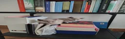 British gatti in vendita: Splendidi gattini di pura razza British Shorthair  - Annuncio 9