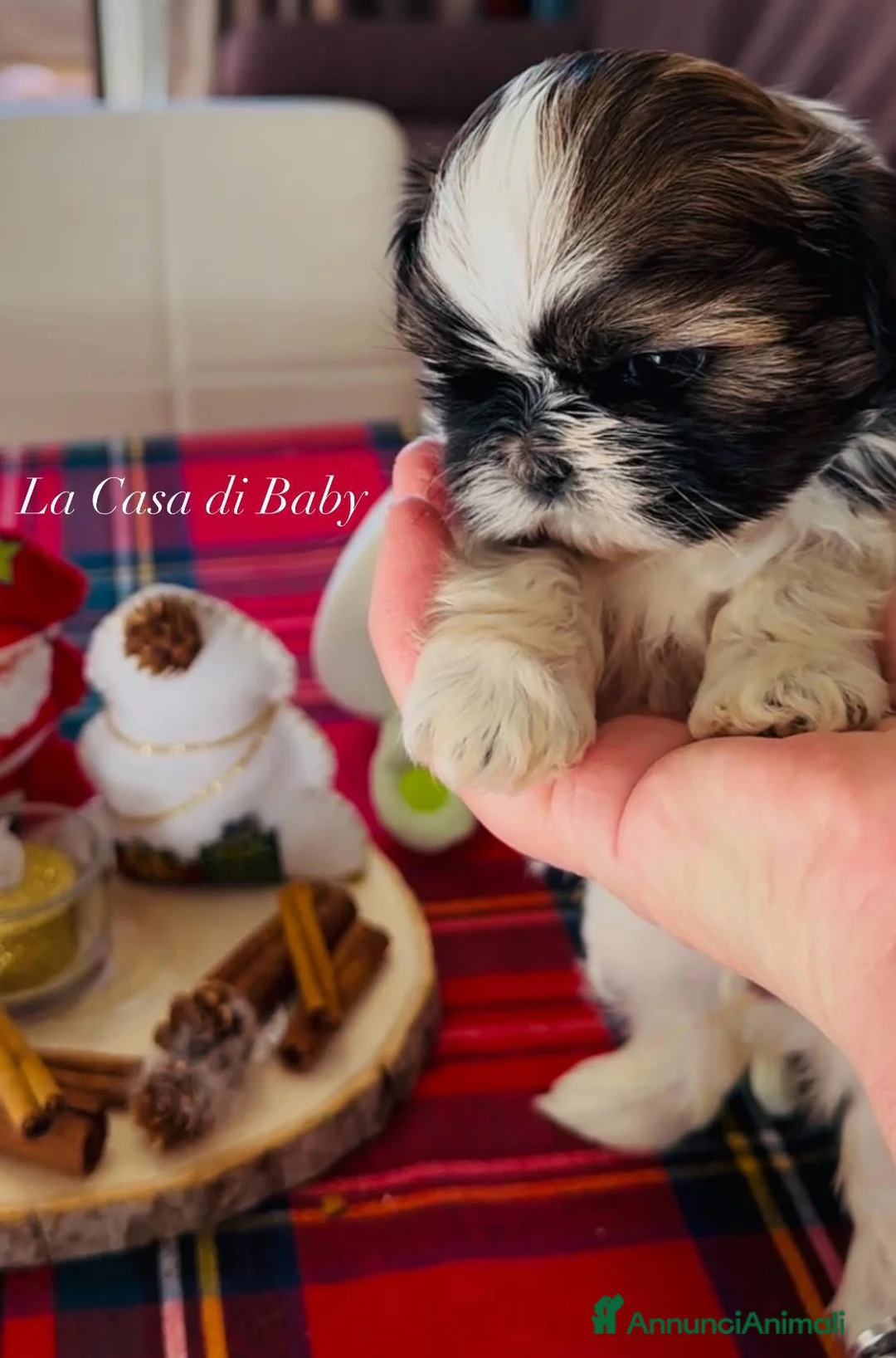 Immagine della galleria {{count}}