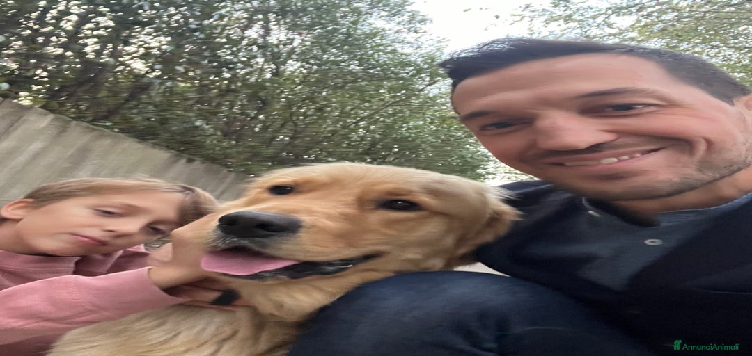 Immagine della galleria {{count}}