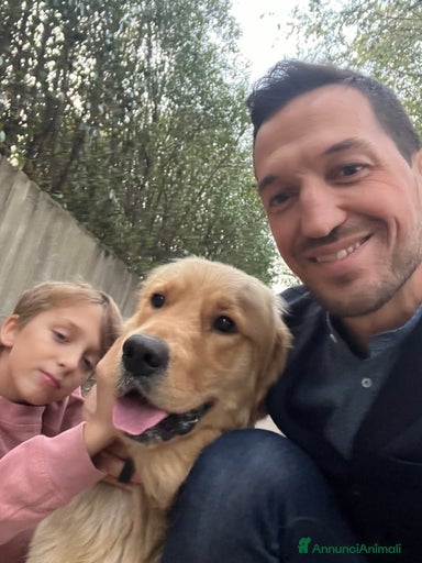 Immagine della galleria {{count}}