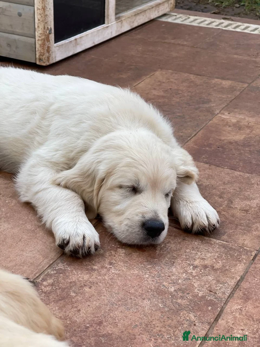 Immagine della galleria {{count}}