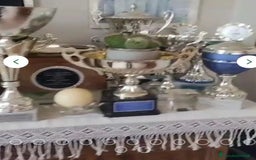 Pastore Tedesco cani in regalo:  proprietario regala splendidi cuccioli  - Annuncio 18