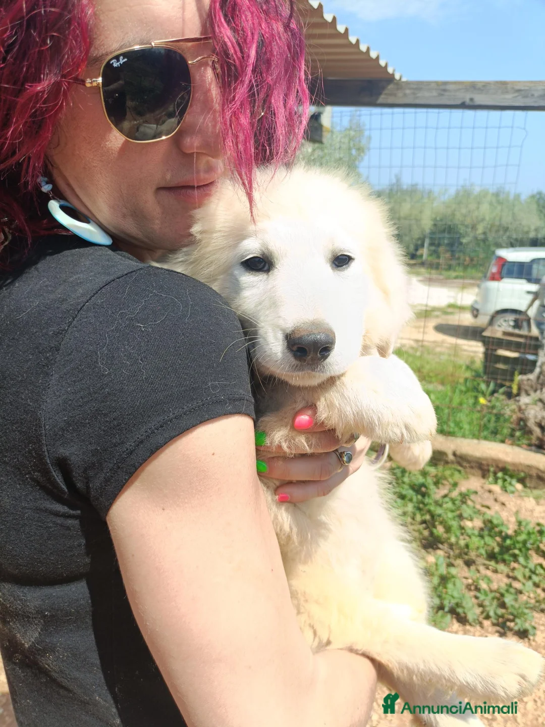 Meticcio cani in regalo: LARA E LINDA - Annuncio 5