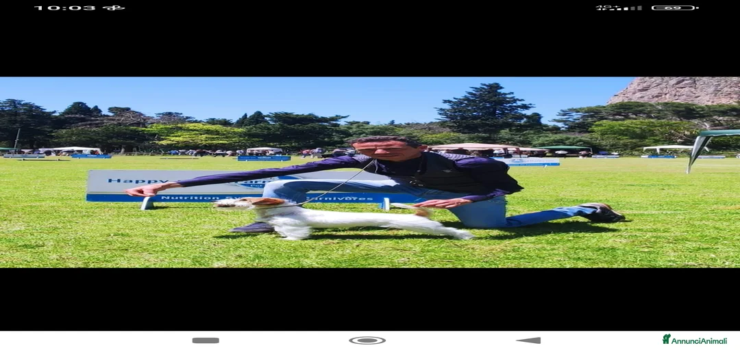 Immagine della galleria {{count}}