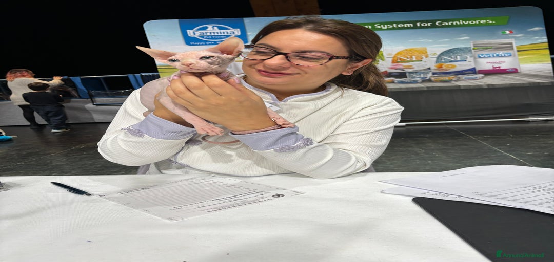 Immagine della galleria {{count}}