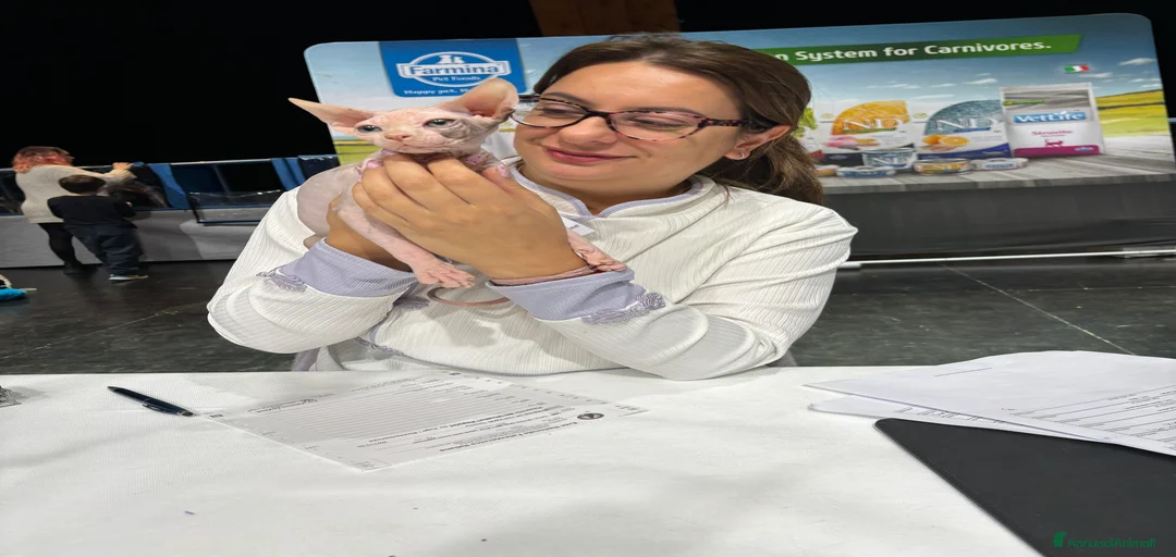 Immagine della galleria {{count}}