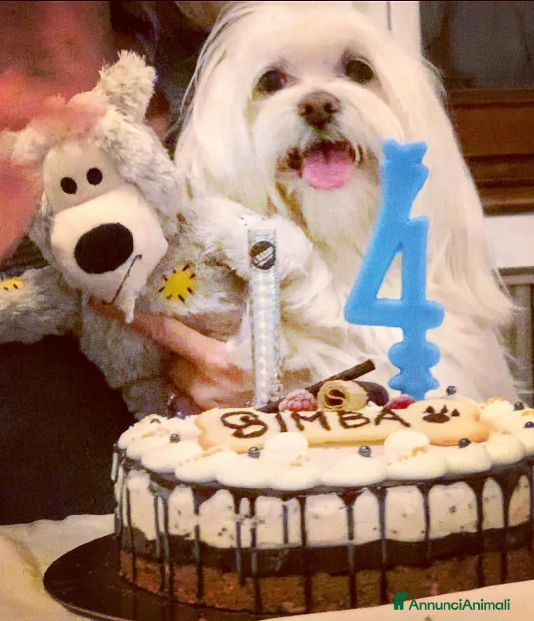 Immagine della galleria {{count}}