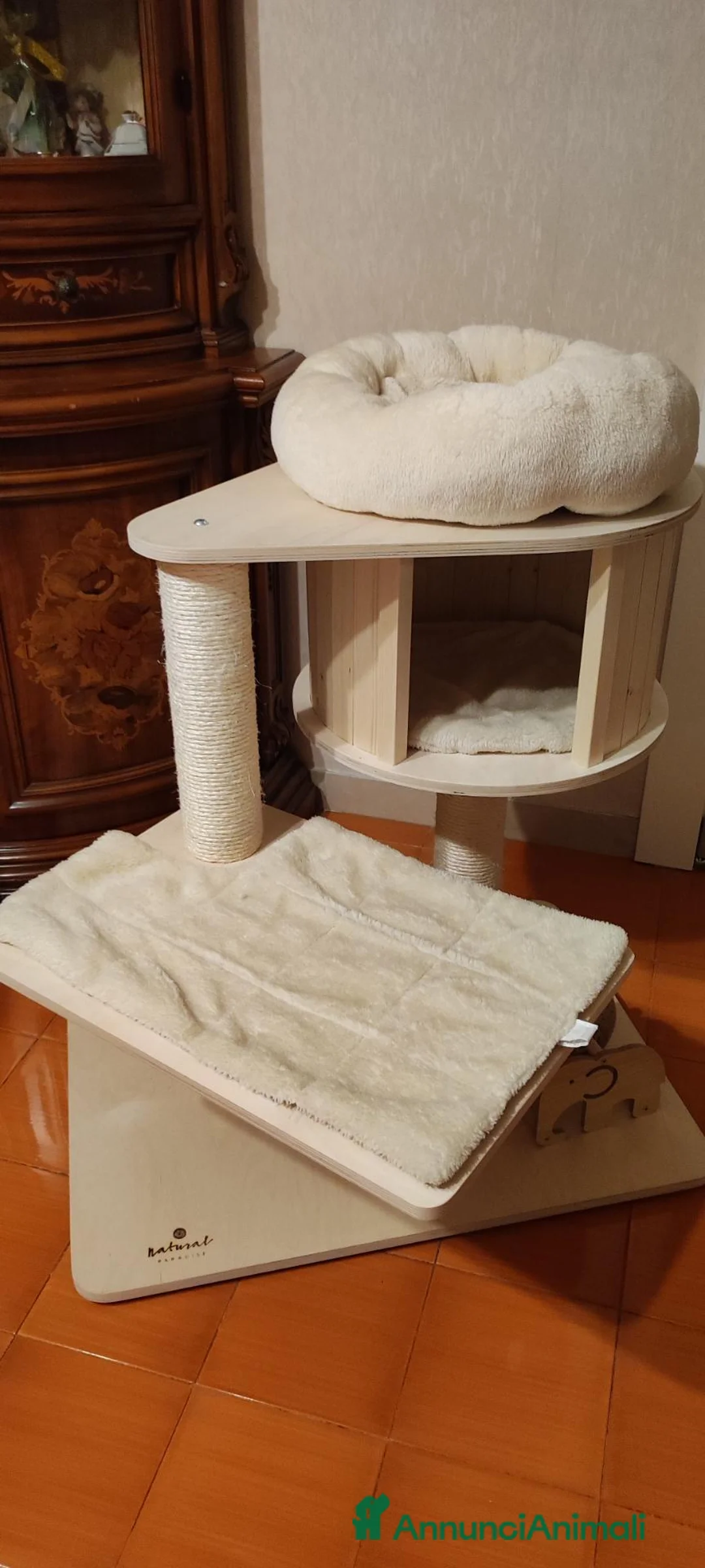 Sacro di Birmania gatti in vendita: SACRO DI BIRMANIA femminina 7 mesi a Provincia dell'Aquila - Annuncio 2