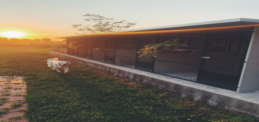 Immagine della galleria {{count}}