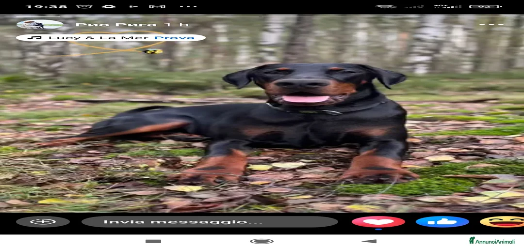 Immagine della galleria {{count}}