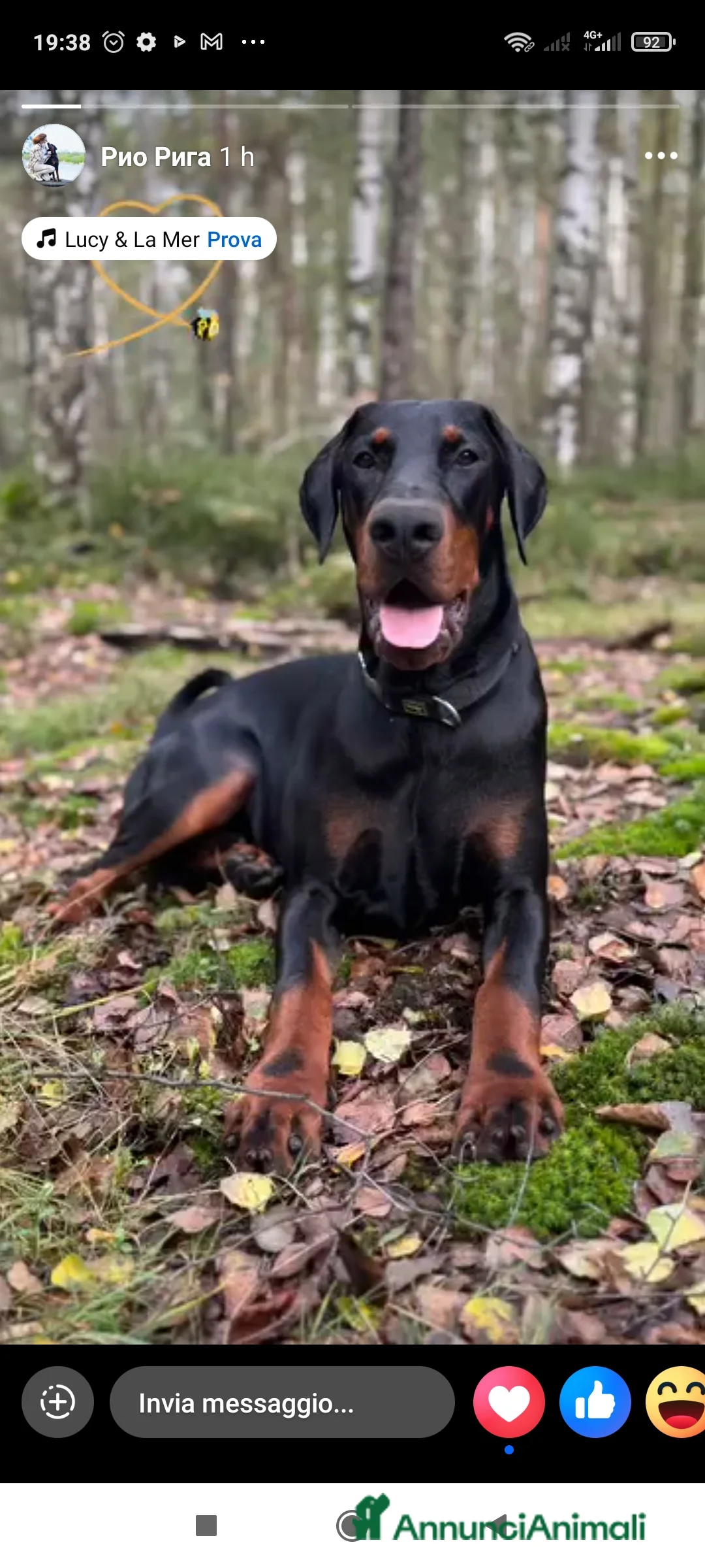 Immagine della galleria {{count}}