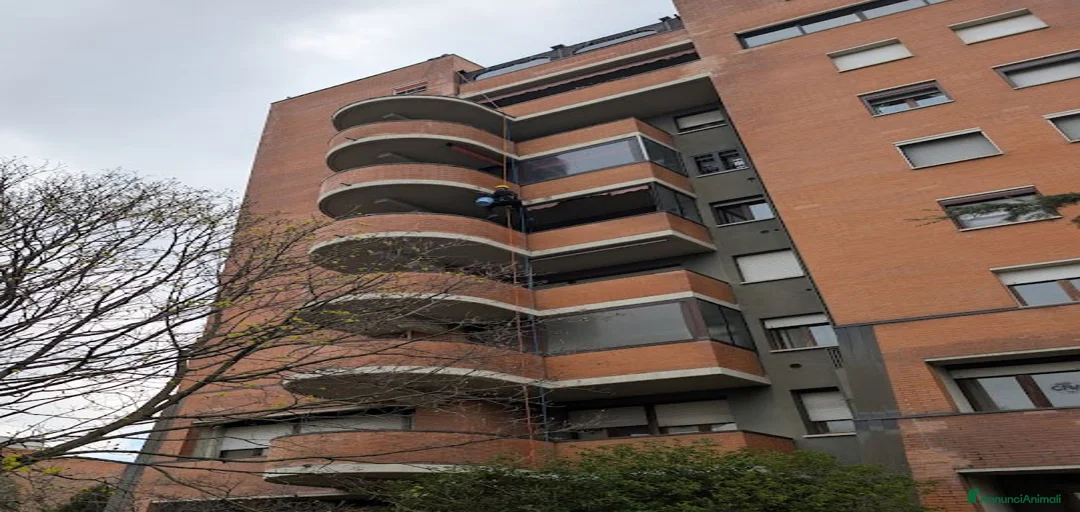 Immagine della galleria {{count}}