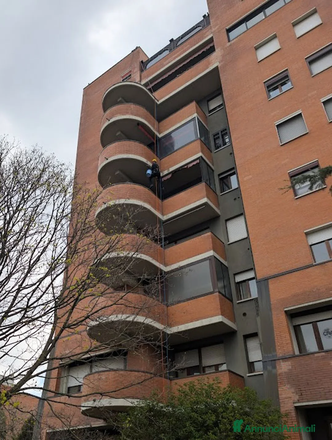 Immagine della galleria {{count}}