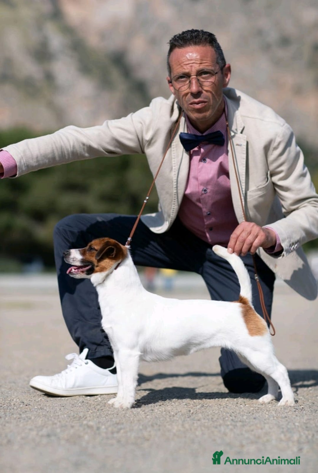 Immagine della galleria {{count}}