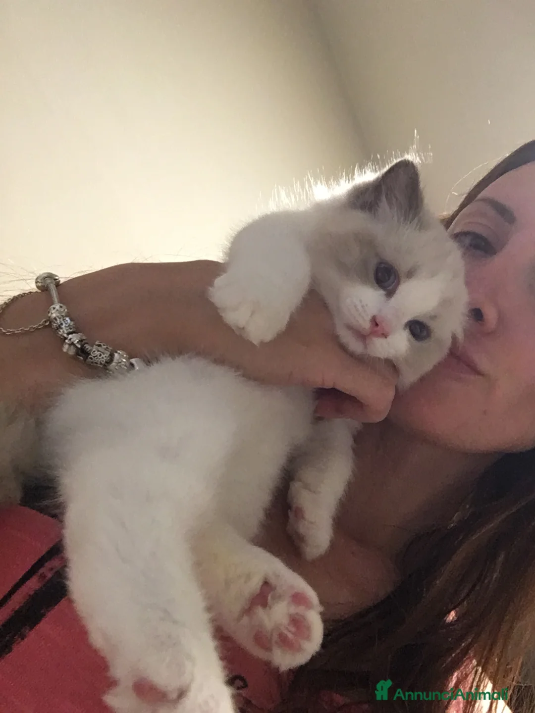 Immagine della galleria {{count}}