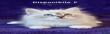 Siberiano 6