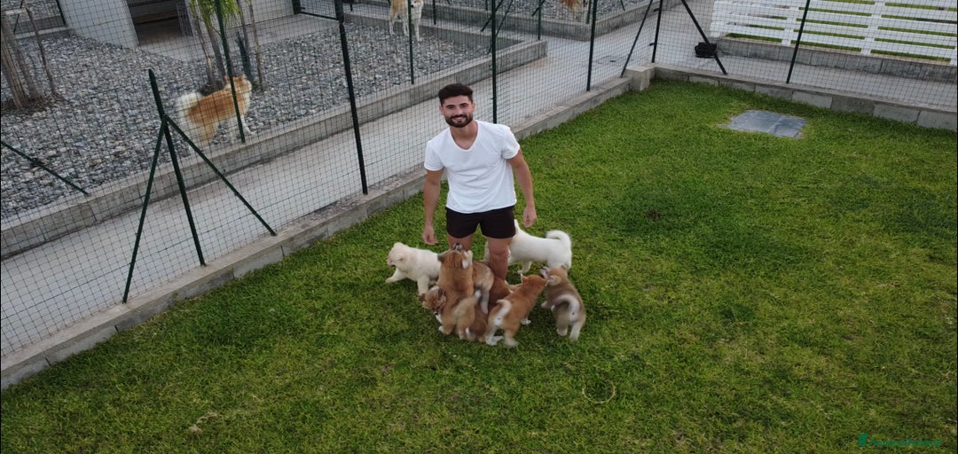 Immagine della galleria {{count}}