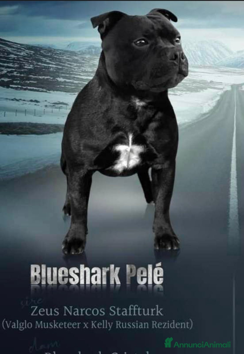 Pelé