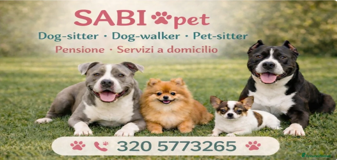 Immagine della galleria {{count}}