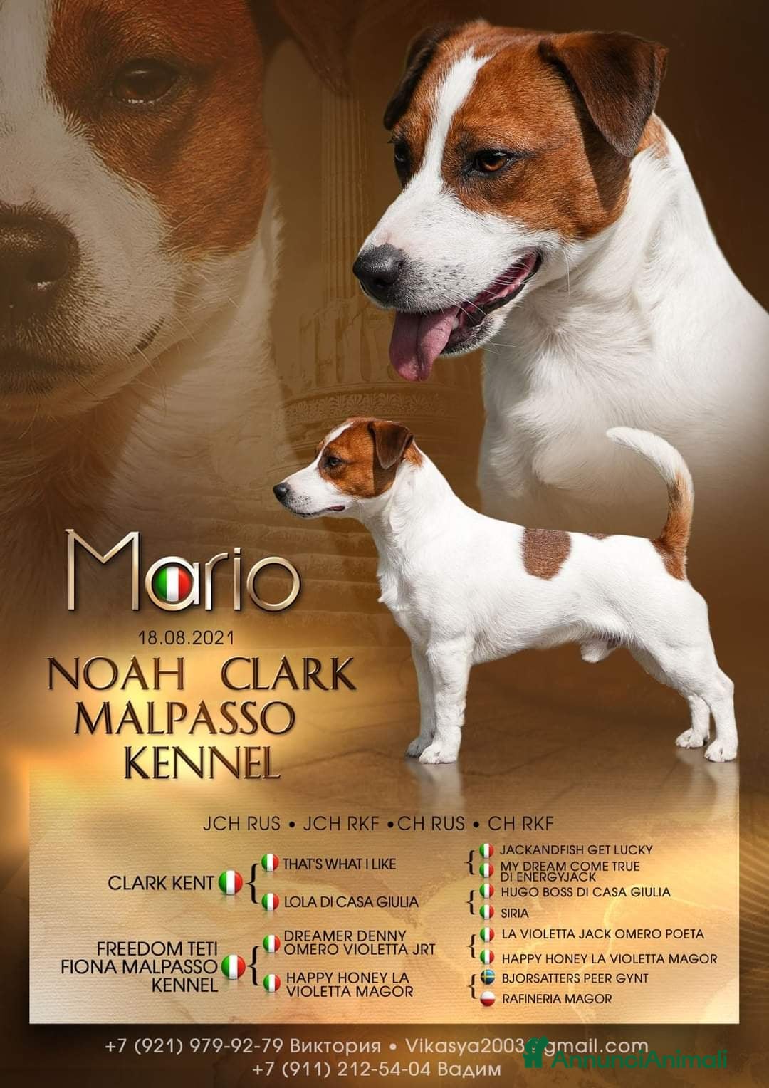 Immagine della galleria {{count}}