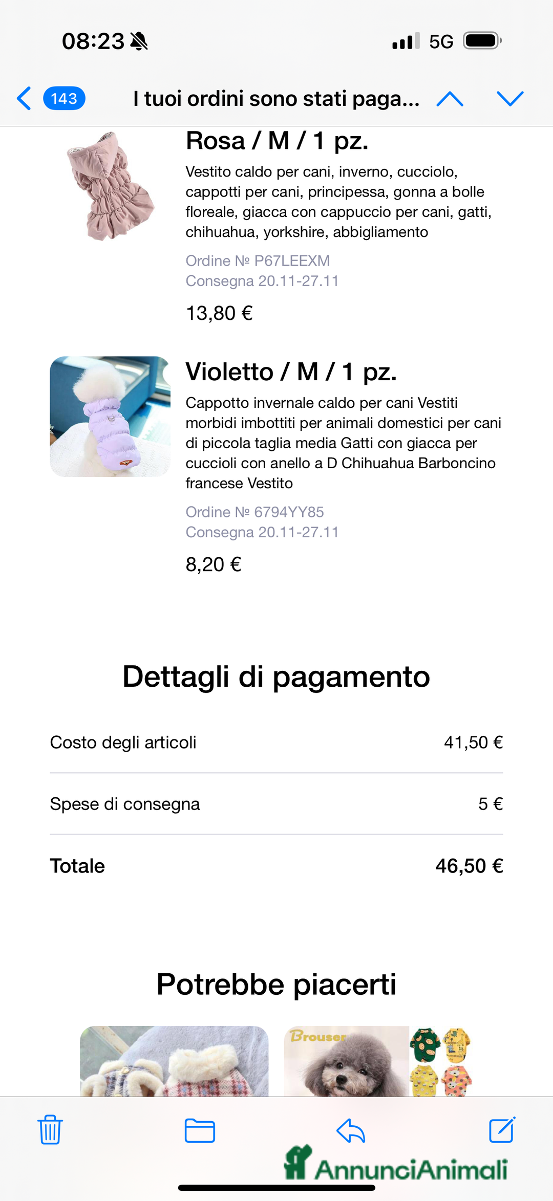 Barboncino Toy cani in vendita: barboncini toy pronti a fine dicembre  - Annuncio 2