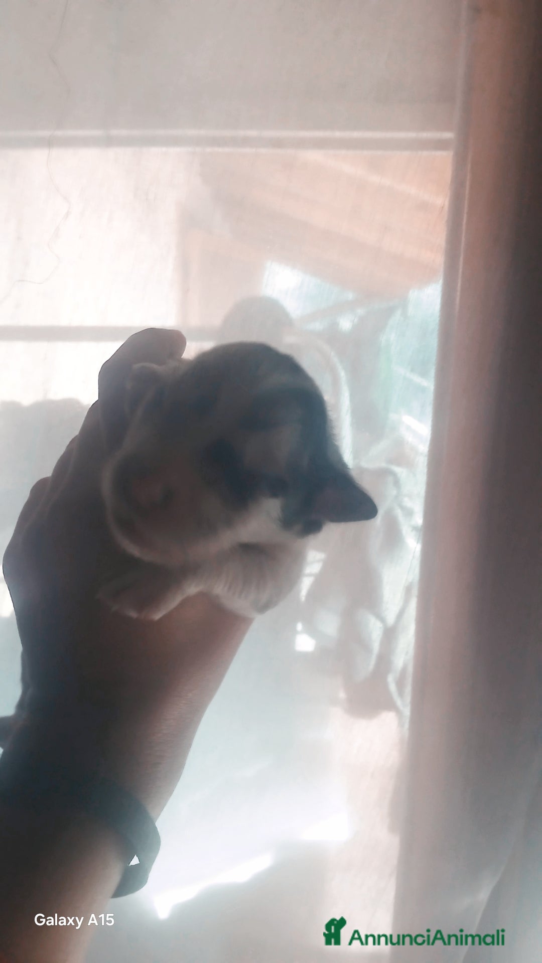 Immagine della galleria {{count}}