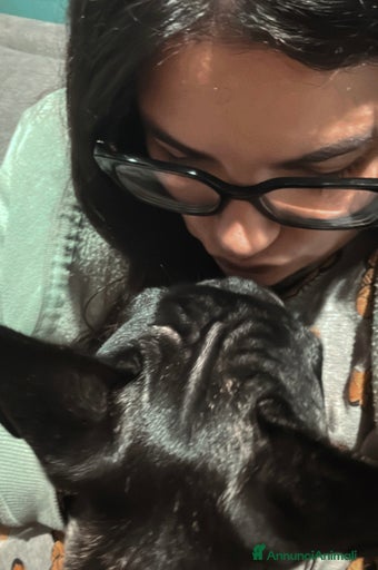 Immagine della galleria {{count}}