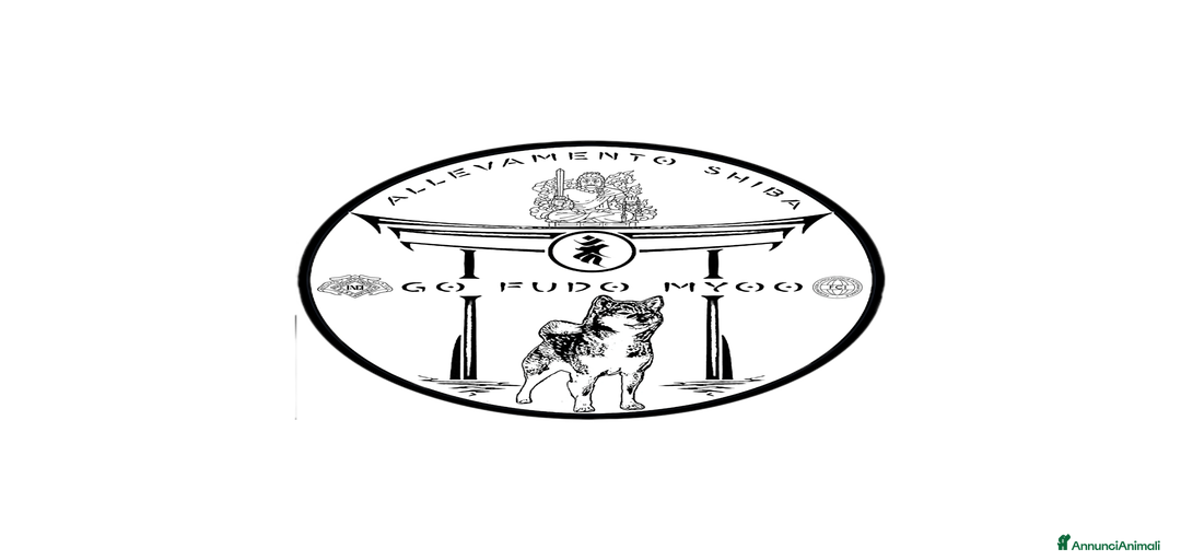 Immagine della galleria {{count}}