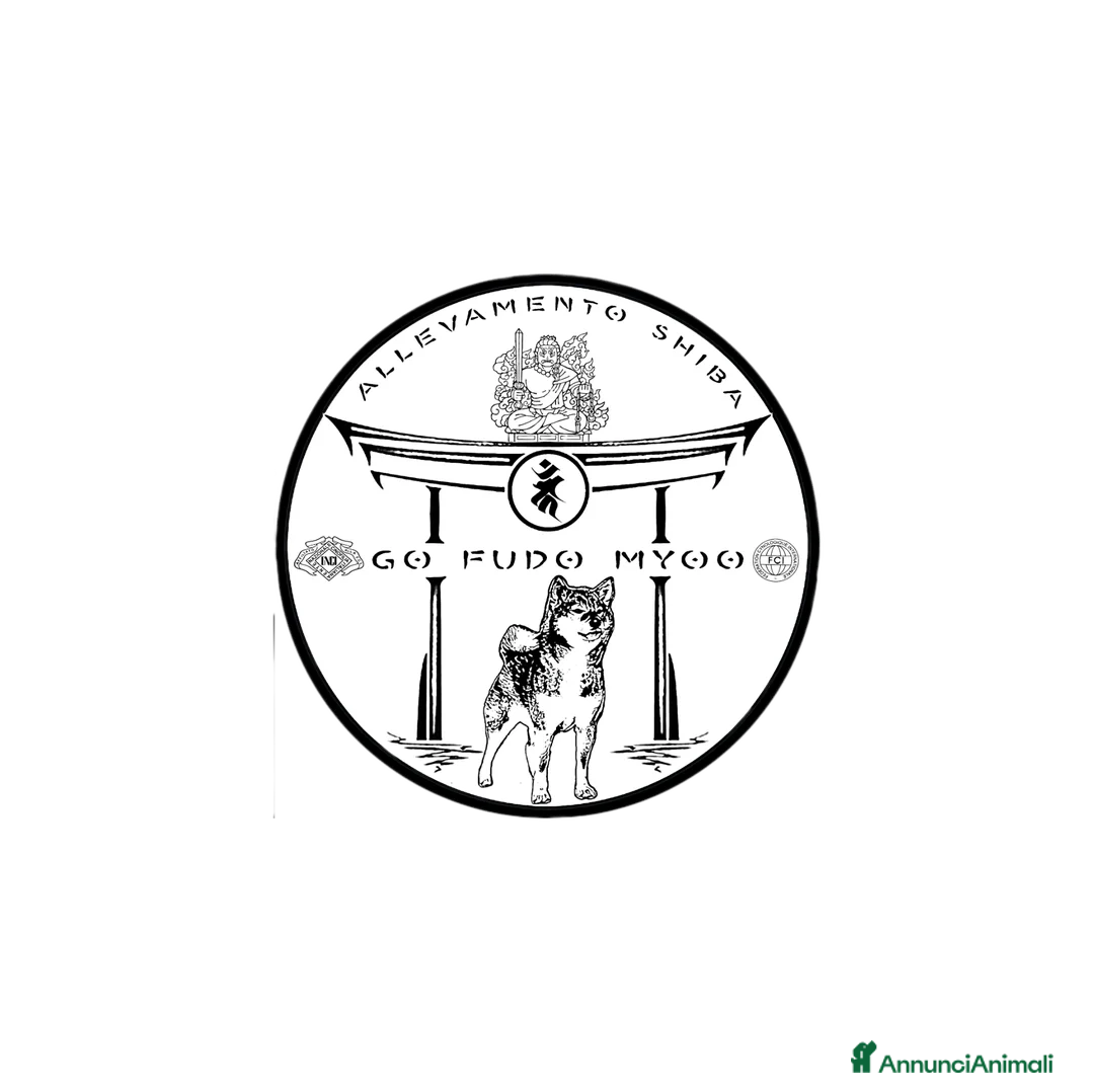 Immagine della galleria {{count}}