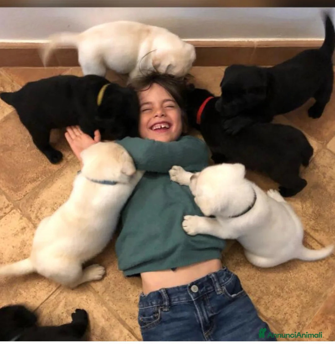 Immagine della galleria {{count}}