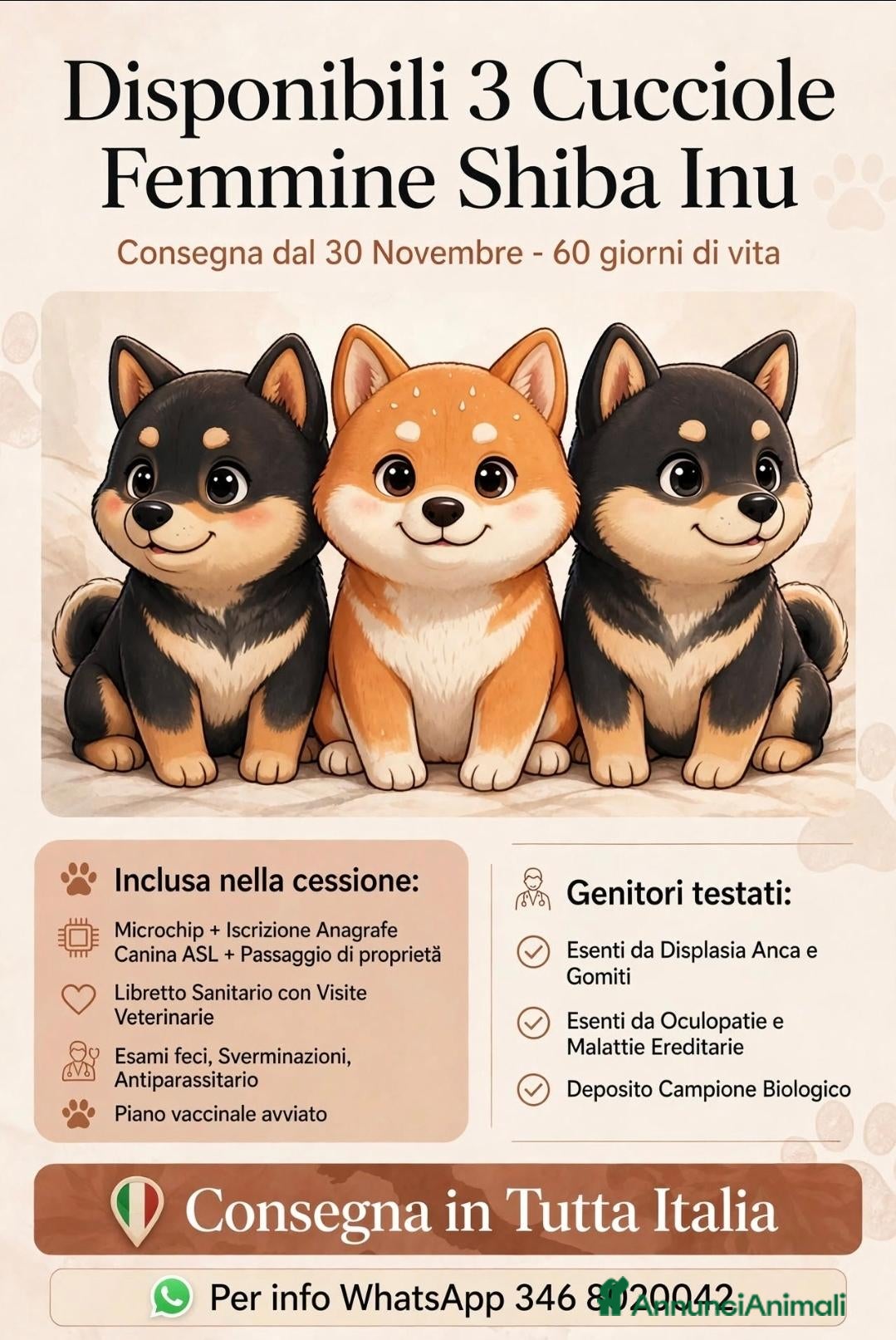 Shiba Inu cani in vendita: Shiba inu - Annuncio 1