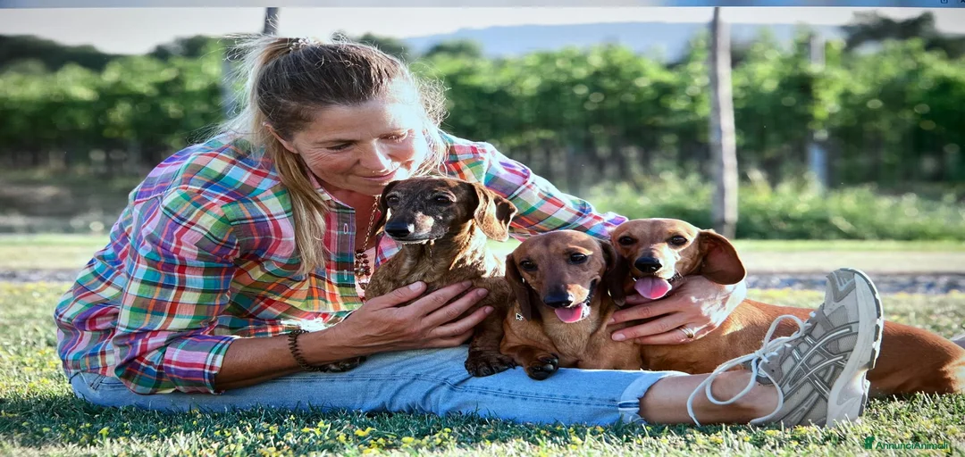 Immagine della galleria {{count}}