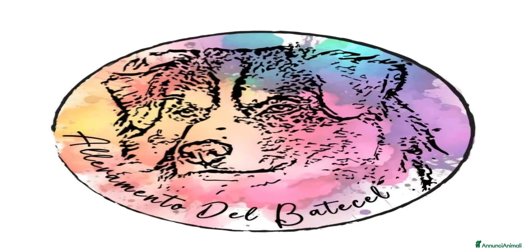 Immagine della galleria {{count}}