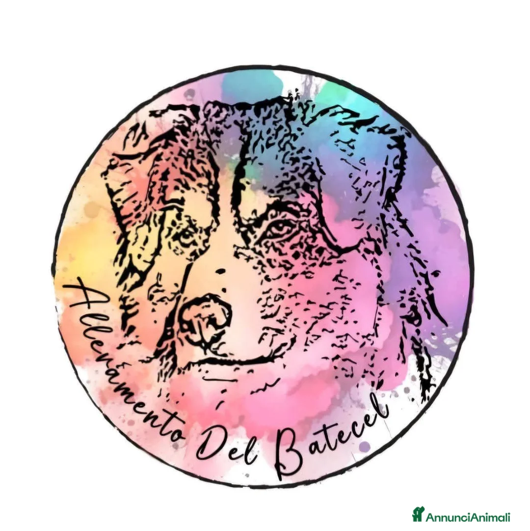 Immagine della galleria {{count}}