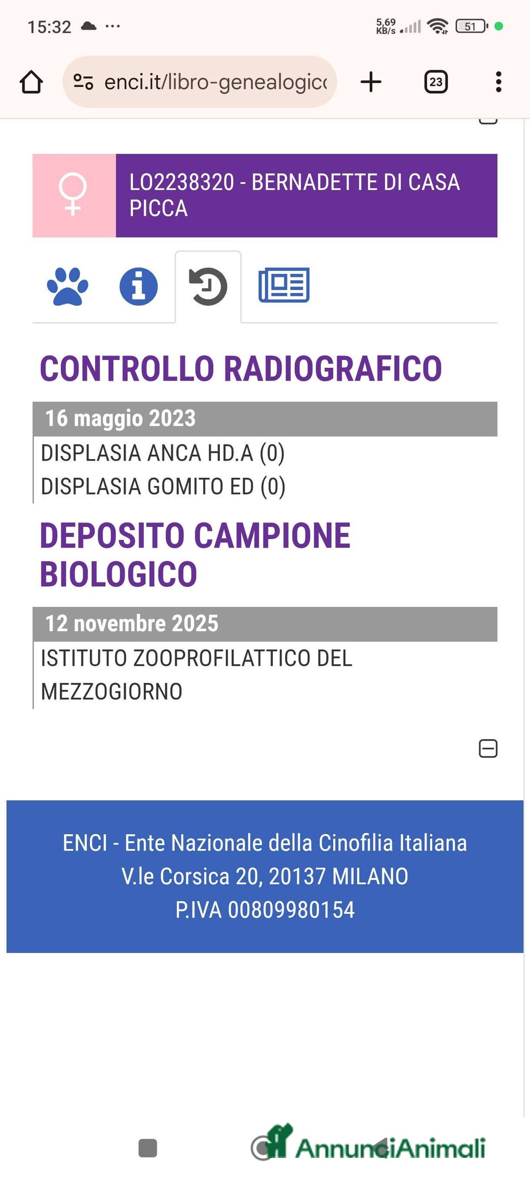 Labrador cani in vendita: Cuccioli di Labrador Retriever Gialli - Annuncio 3