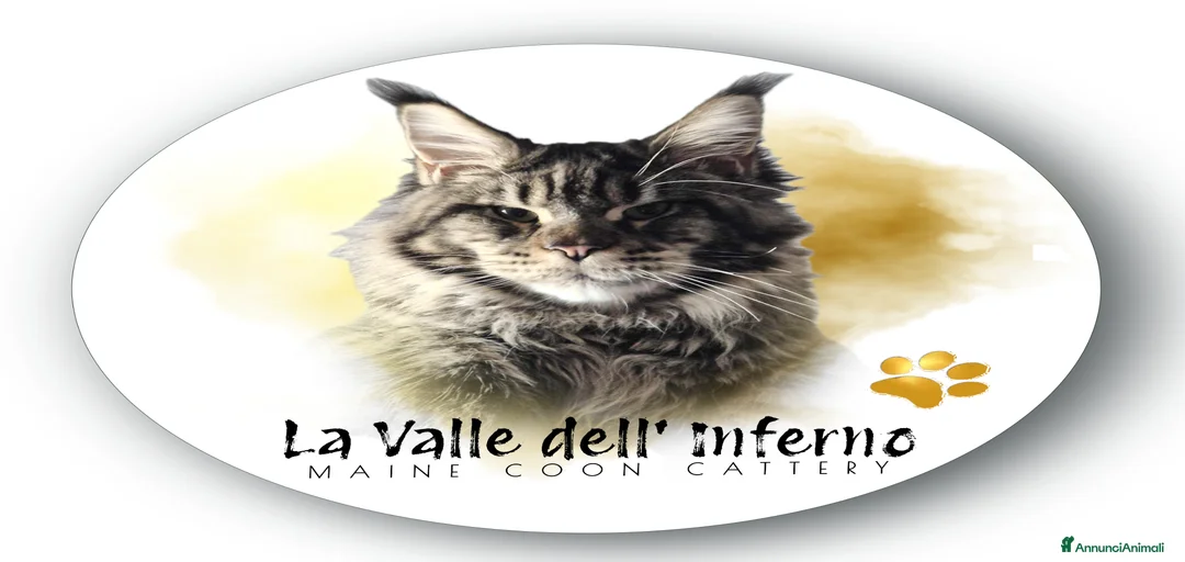 Immagine della galleria {{count}}