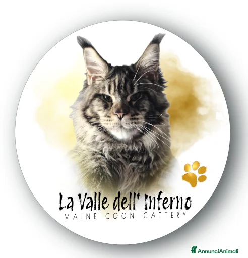 Immagine della galleria {{count}}