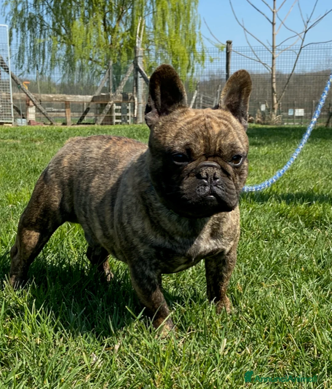 Immagine della galleria {{count}}