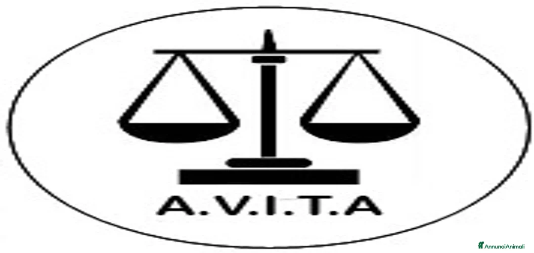 Immagine della galleria {{count}}