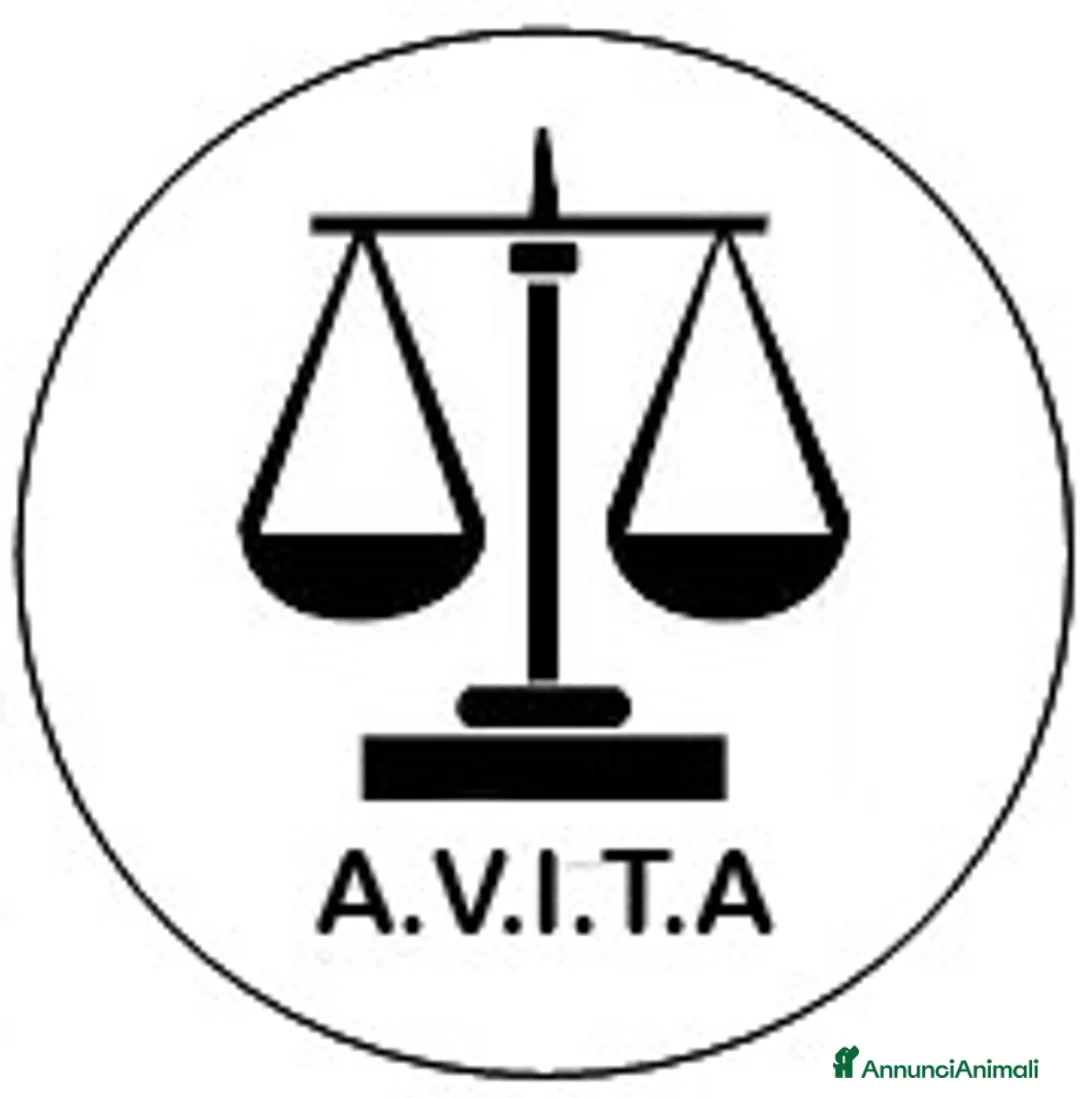 Immagine della galleria {{count}}