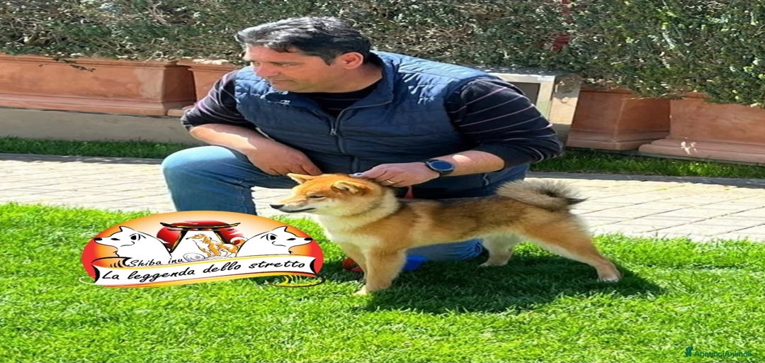 Immagine della galleria {{count}}